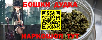 Альфа ПВП Новодвинск