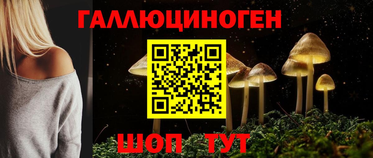 Псилоцибиновые грибы GOLDEN TEACHER  Галлюциногенные грибы мицелий  Вход с VPN  Карасук 